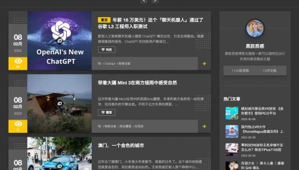 黑胶质感博客主题